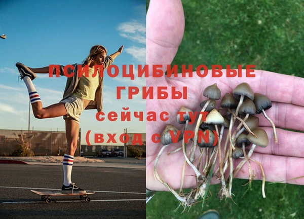 ГАЛЛЮЦИНОГЕННЫЕ ГРИБЫ Балабаново
