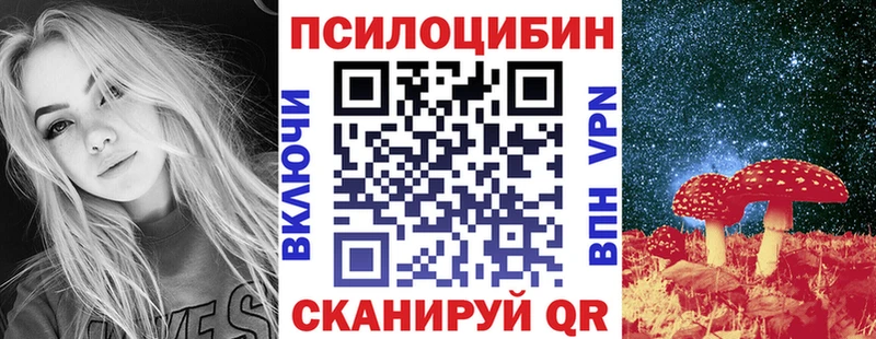 где купить наркотик  mega рабочий сайт  Галлюциногенные грибы Cubensis  Армянск 